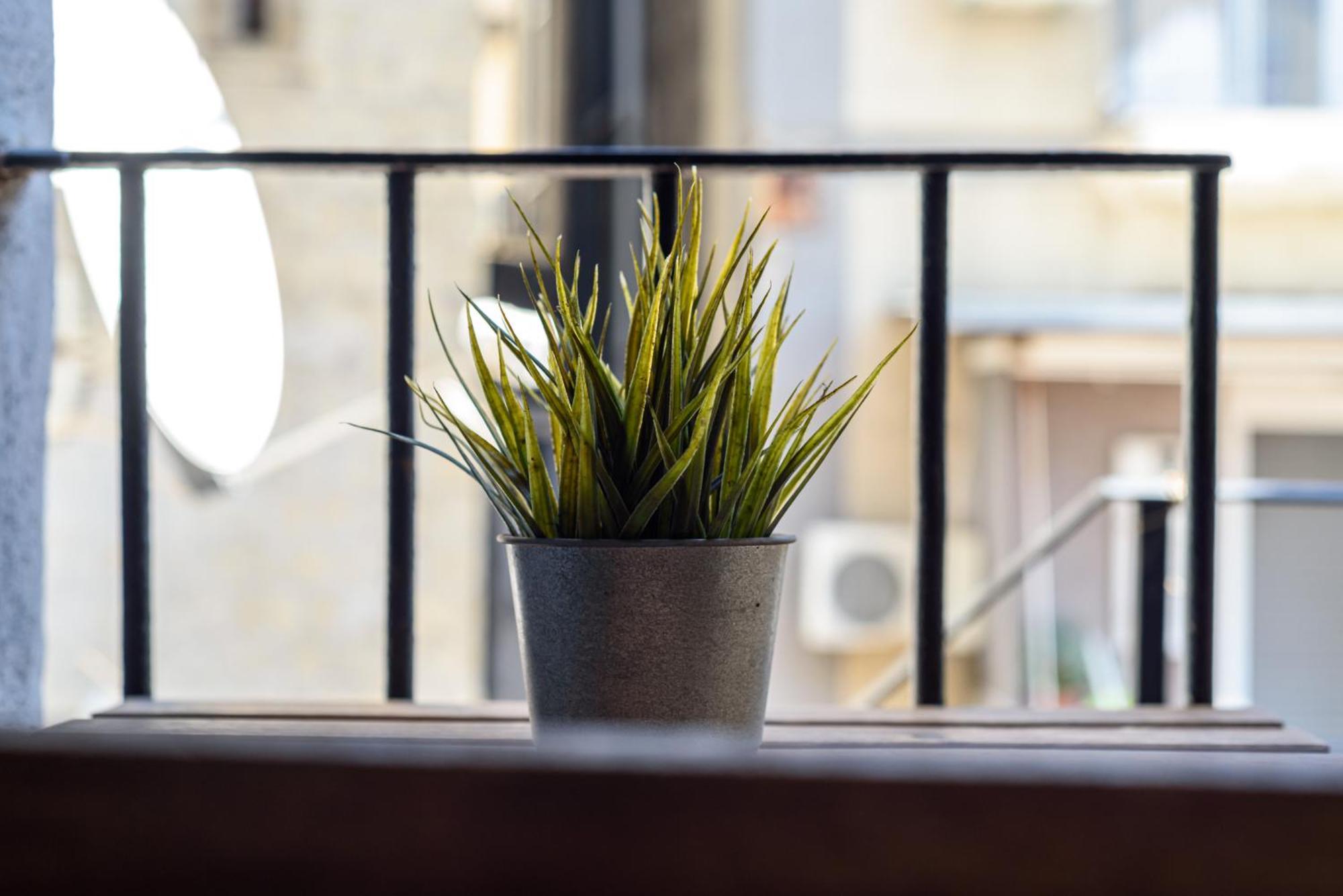 La Terrazzina Sul Porto Appartement